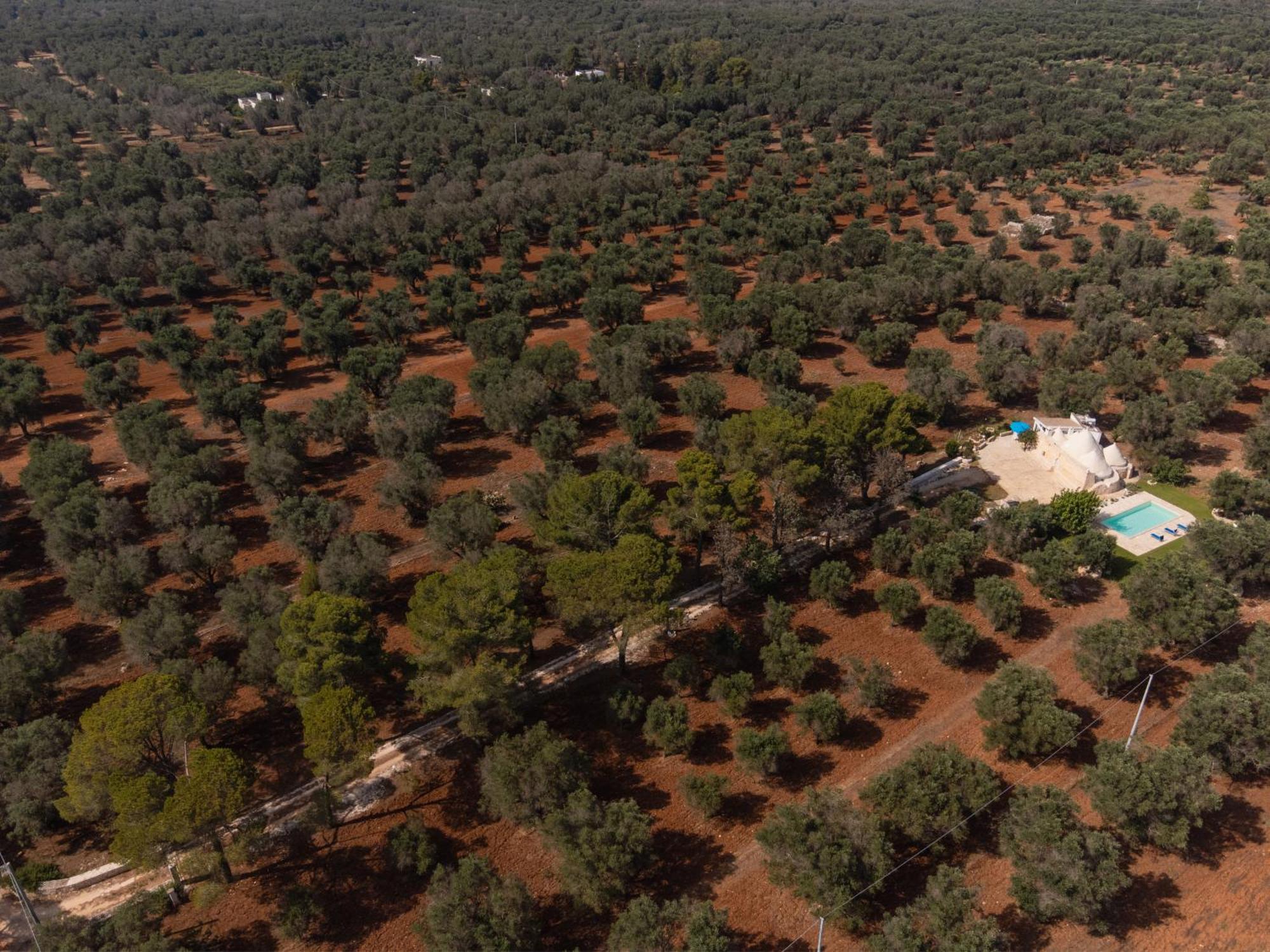 Trullo Tarantini Con Piscina Privata Apartment Latiano Ngoại thất bức ảnh